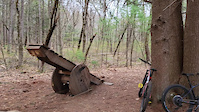 Teeter Success