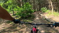 Out in the woods
