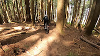 Kalvin (10) Rooted on CloseEncounters