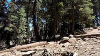 Sticks and Stones DH Race at Northstar 2019