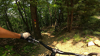 Massanutten Western Slope - Special K Trail