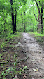 First mountain bike adventure.