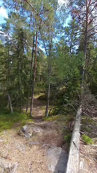 Log drop