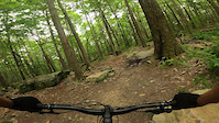 Deep Creek Lake State Park - Indian Turnip Trail
