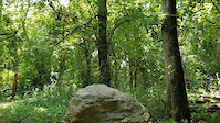 Oak Hill 1 Rock Roll