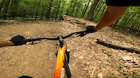 Deep Creek Lake State Park - Beckman's Trail