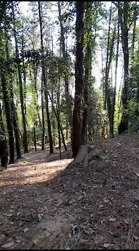 Tuscany Coast Park - Budget Trail