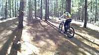 Sparrow Hill