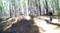 Sparrow Hill
