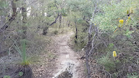 Engadine Single Track