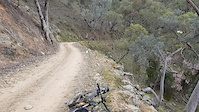 Bridle Track
