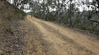 Bridle Track
