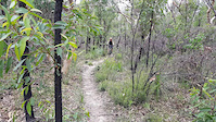 Diggers ditch