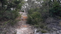 The Oaks Fire Trail