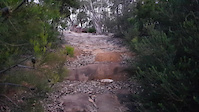 The Oaks Fire Trail