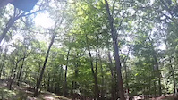 Valley trail