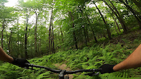 Deep Creek Lake State Park - Thayer Trace...