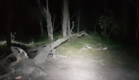 night ride fun