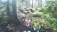 Rocks and bumps