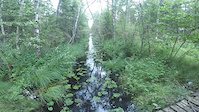 Crossing the stream