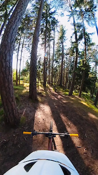 Gnarly Charlie Trail