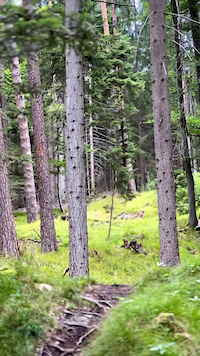 Scalära Trail