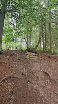 Big Save at Sile Cop, Cannock Chase