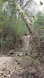 Vertical do gato + jump
