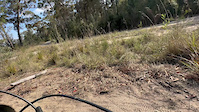 Down Hill part of Fore
