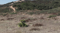 Up and down the same trail on the Weapon X ebike