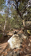 Enduro_el on mont ventoux