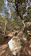 Enduro_el sur le Mont Ventoux