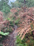 Zumetxa trail running