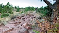 Skidder rocks on Sawmill Trail