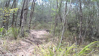 log drop off