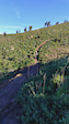 Beatiful crash HD