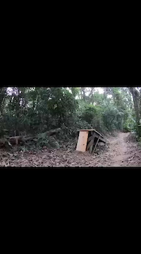 Must Watch Video