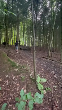 Forgot to turn