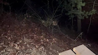 Tandem Downhill