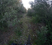El Oscural - Metauten