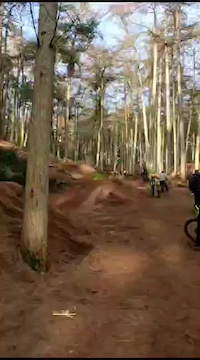 not bad crash