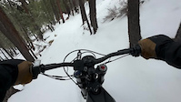 Lower Stinger conditions February 2024