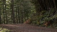 Predator, Tiger Mountain // E Saarela