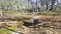 Saw Mill Hills