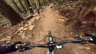 Prime dirt for March
