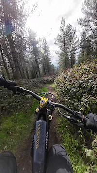 fun trails at the Wrekin