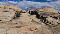 Red Mesa / San Ysidro