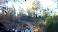 Must Watch Video