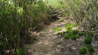 Trail Armuin
