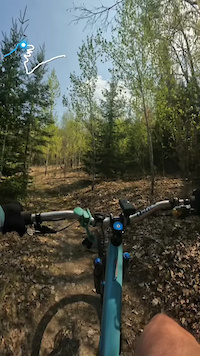 Mogul Climb